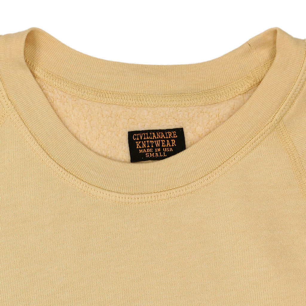 Short Sleeve Raglan Triblend Crewneck - Sateen Canary