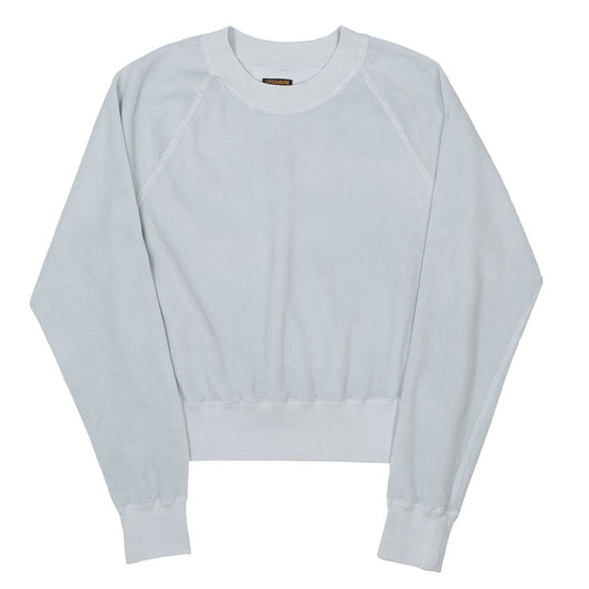 Long Sleeve Cropped Velour Raglan Crewneck - Frost